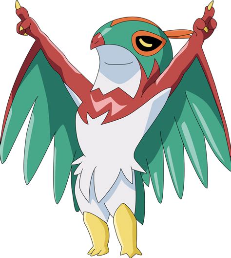 Hawlucha (Pokémon) .